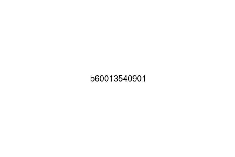 b60013540901