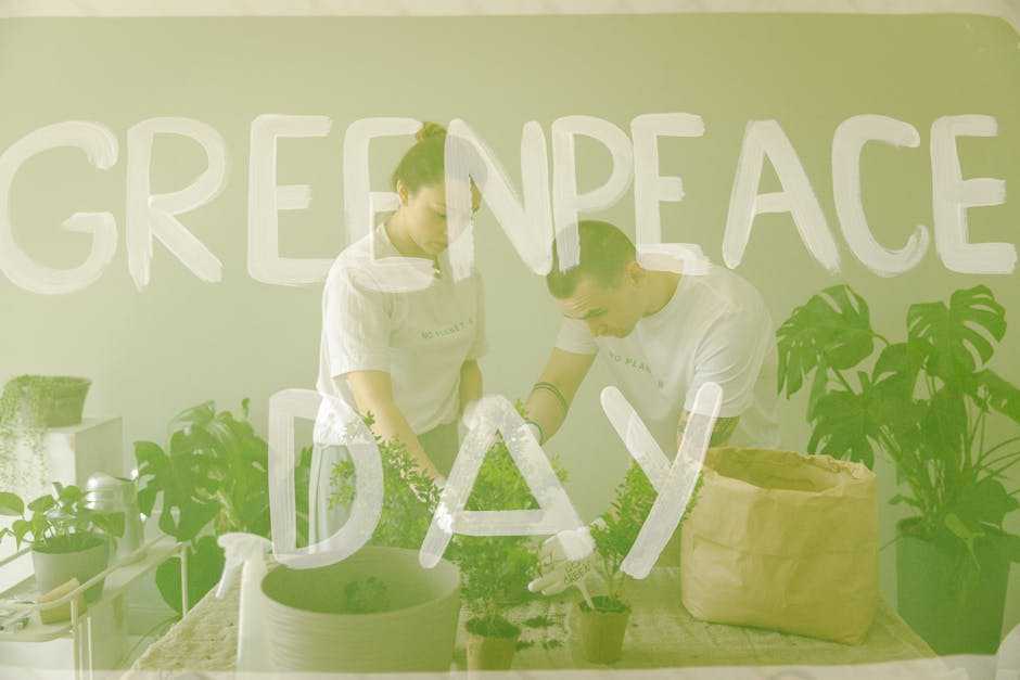 sustainability focus