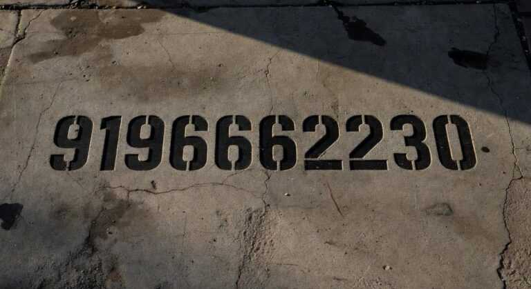 9196662230