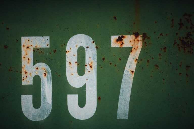 9097124497